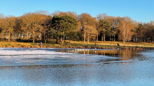 Visitors walking in the winter parkland, Tatton Park, Cheshire